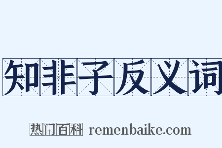 知非子反义词是什么意思的图片